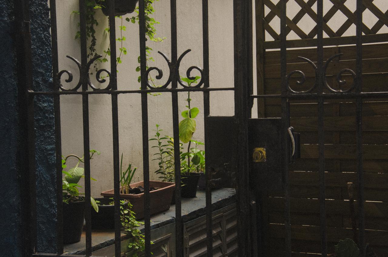 The Backpacker Cat Hostel Rio de Janeiro Exterior photo